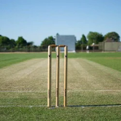 cricket coaching camp rajkot rajkot cricket clubs vjjfjgsczt 250