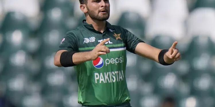 Shaheen Afridi discusses his goals for the ODI World Cup and how he "had discussions with IPL players."