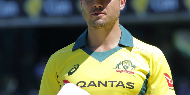 Why won't Marcus Stoinis play in game 24 of the ICC World Cup 2023 against the Netherlands?