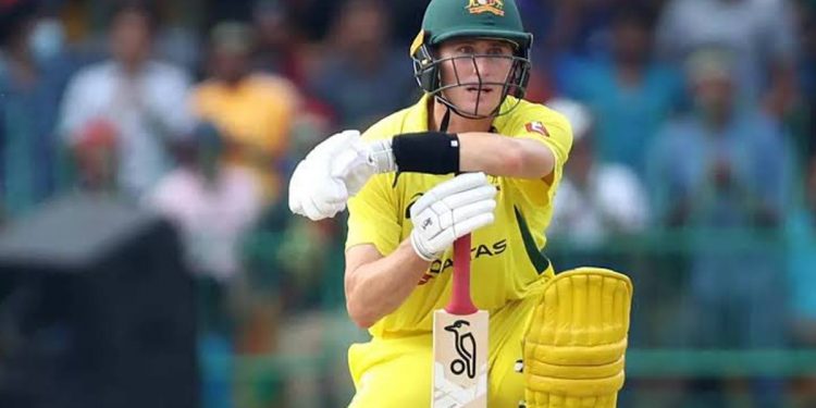 CWC 2023: Marnus Labuschagne, who blocked the field during Australia vs. New Zealand, survived the runout