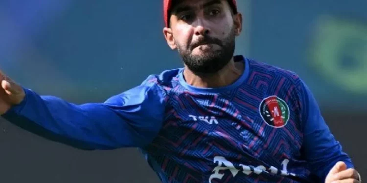 Hashmatullah Shahidi discovers an error in India's fielding during the CWC 2023, causing the umpire to call a no ball.