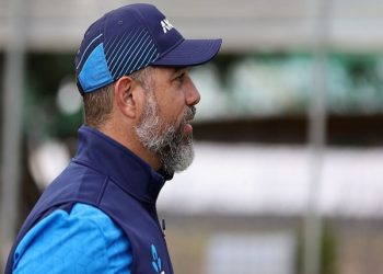 The Pakistan T20I bowling coach, Andre Adams, has been appointed from New Zealand.