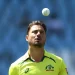 Marcus Stoinis believes his ODI omission makes "perfect sense" and that there must be a balance between retaining a core and adding new players.