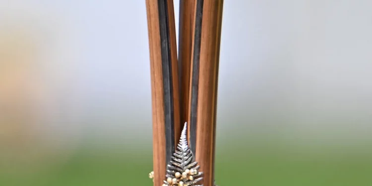 T20Is now part of the Chappell-Hadlee Trophy; winner is determined by point system