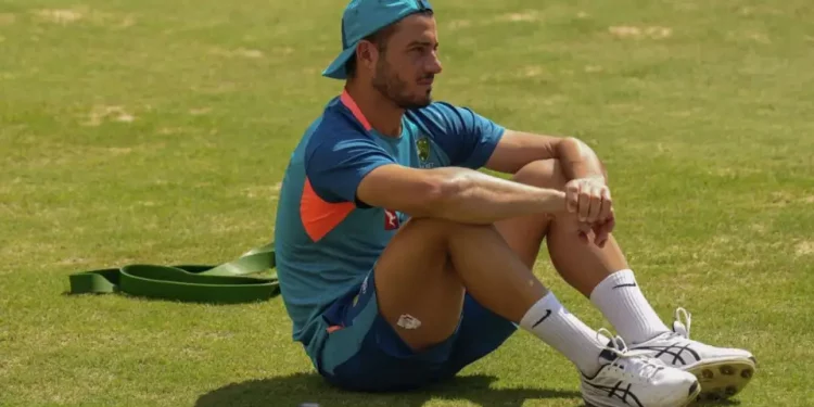 Marcus Stoinis's back problem will prevent him from touring New Zealand.
