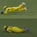 MS Dhoni dismisses Vijay Shankar, who was caught behind, by flying horizontally during CSK vs. GT.