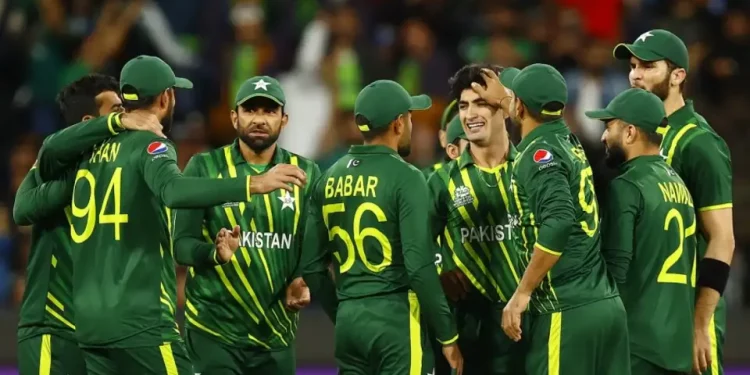 The Pakistan Cricket Board has announced the 17-man team for the Twenty20 Internationals against New Zealand, recalling Muhammad Amir and Imad Wasim.