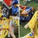 IPL 2024: Ravindra Jadeja steps in front of MS Dhoni to tease the Chepauk crowd, but he quickly retreats