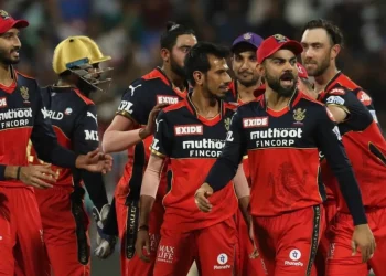 There is undoubtedly one member of the RCB team who is not very knowledgeable about cricket: Shane Watson