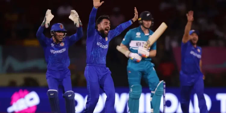 T20 World Cup 2024: NZ vs AFG - Who said What?