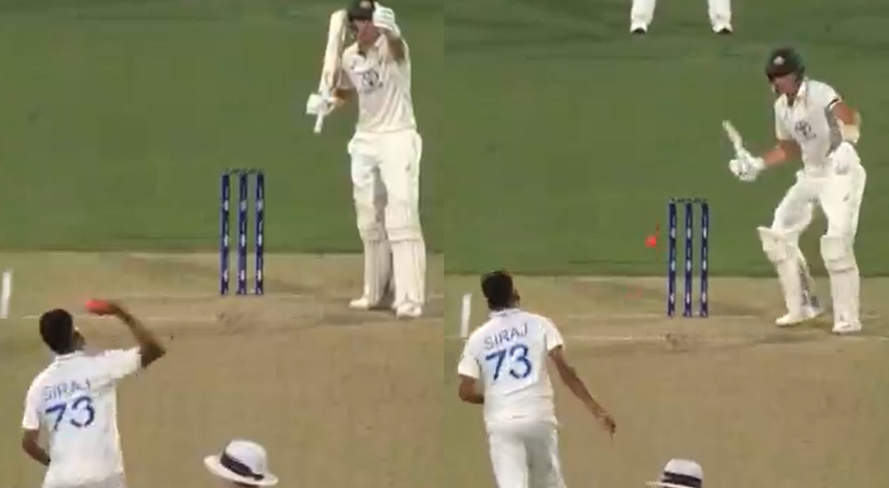 Watch: Beer snake distraction forces Marnus Labuschagne to pull out of shot, Mohammed Siraj throws ball in angst