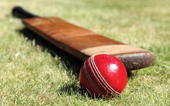 Cricket bat assault: Police arrest absconding man in playground feud