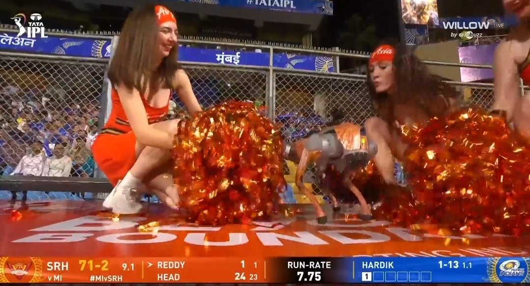 WATCH: Robot dog steals the show during MI vs SRH IPL 2025 match in Wankhede