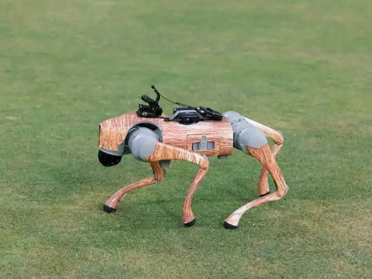 IPL 2025: BCCI gets notice from Delhi High Court on change AI robot's name