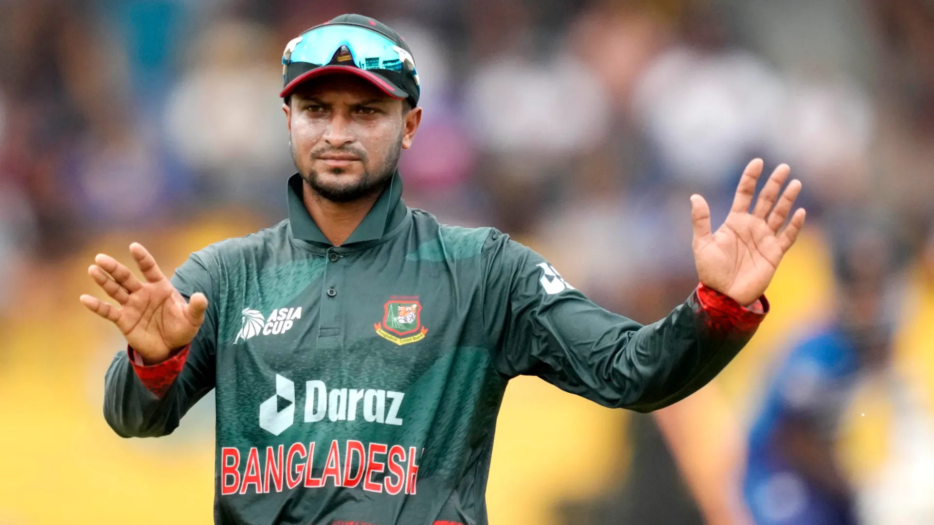 AP23252428810961 1727346092